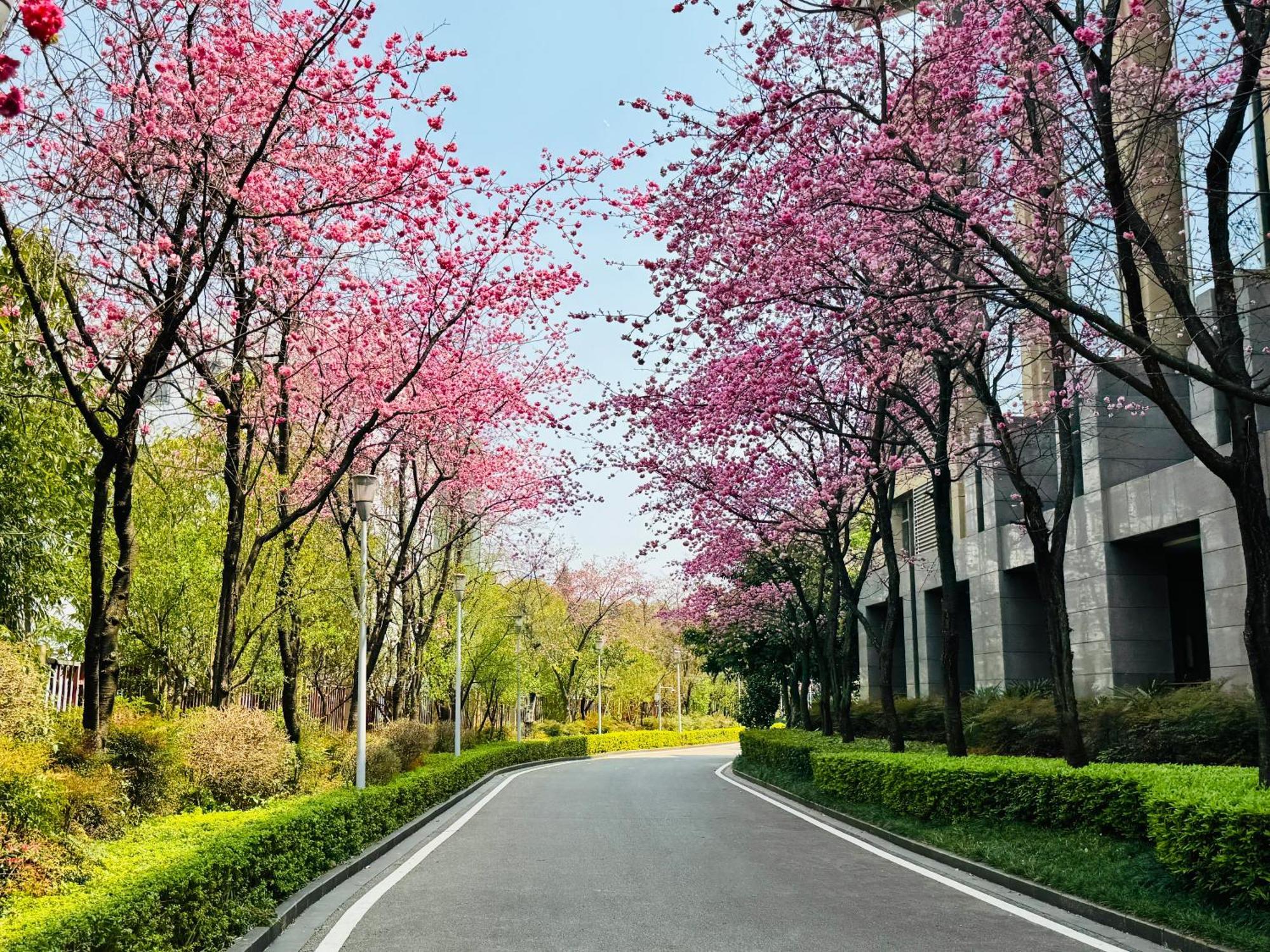 מלון Intercontinental Kunming By Ihg מראה חיצוני תמונה